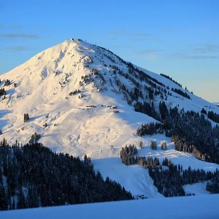 Alm-appartement - Fam. Niedermuehlbichler Apartment Soll