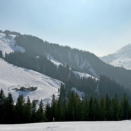 Alm-appartement - Fam. Niedermuehlbichler